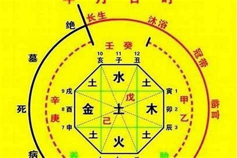 八字喜木|八字入门基础 第六篇 如何判断八字喜用神